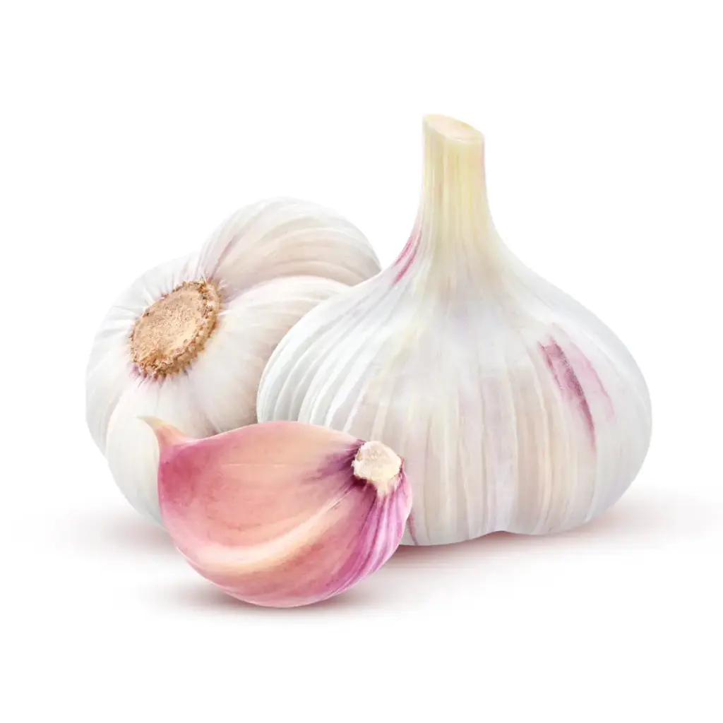 Knoblauch