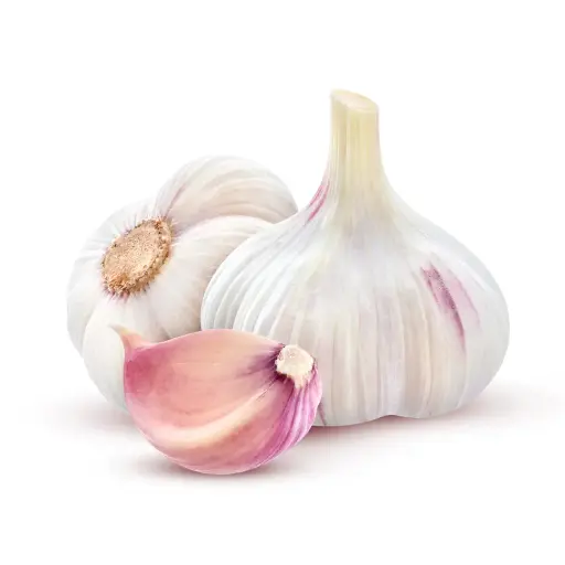 [63126] Knoblauch