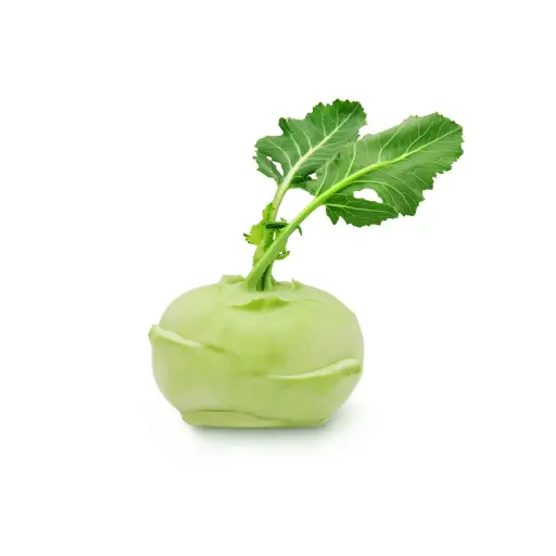 [63109] Kohlrabi, weiß